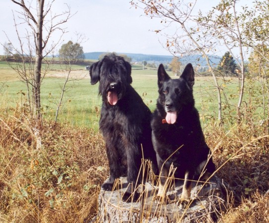 Aimee und Hugo im Urlaub in Bayern